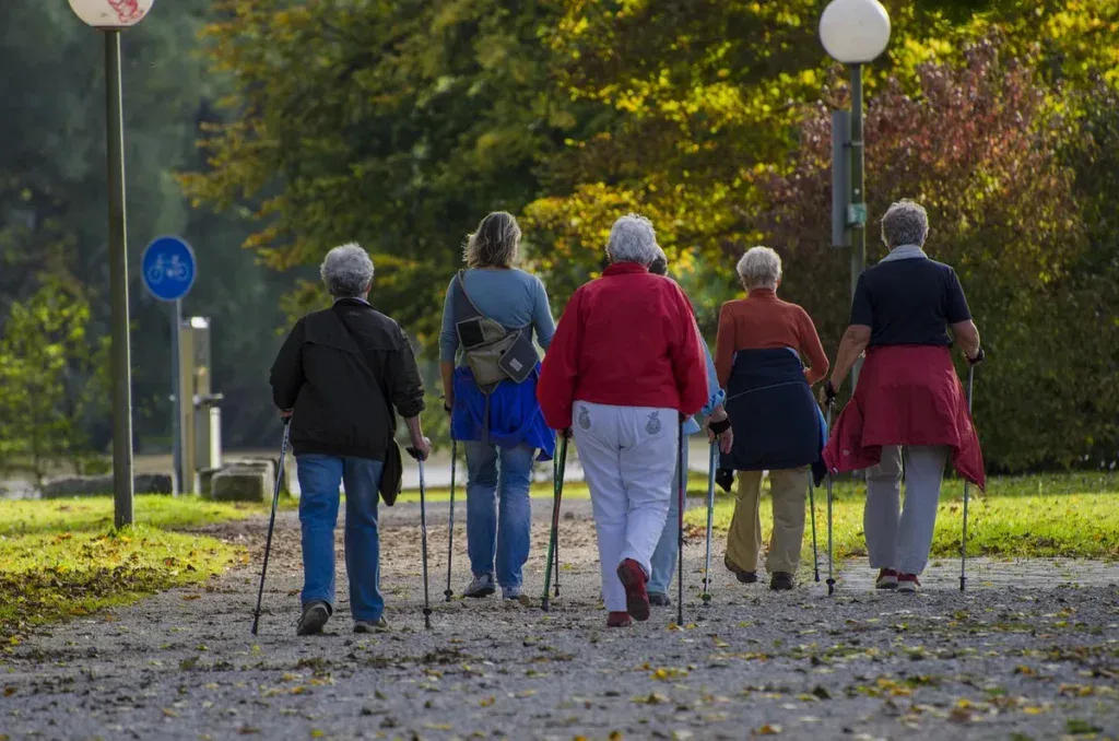 Grupa seniorów z kijkami na nordic walking w parku jesienią